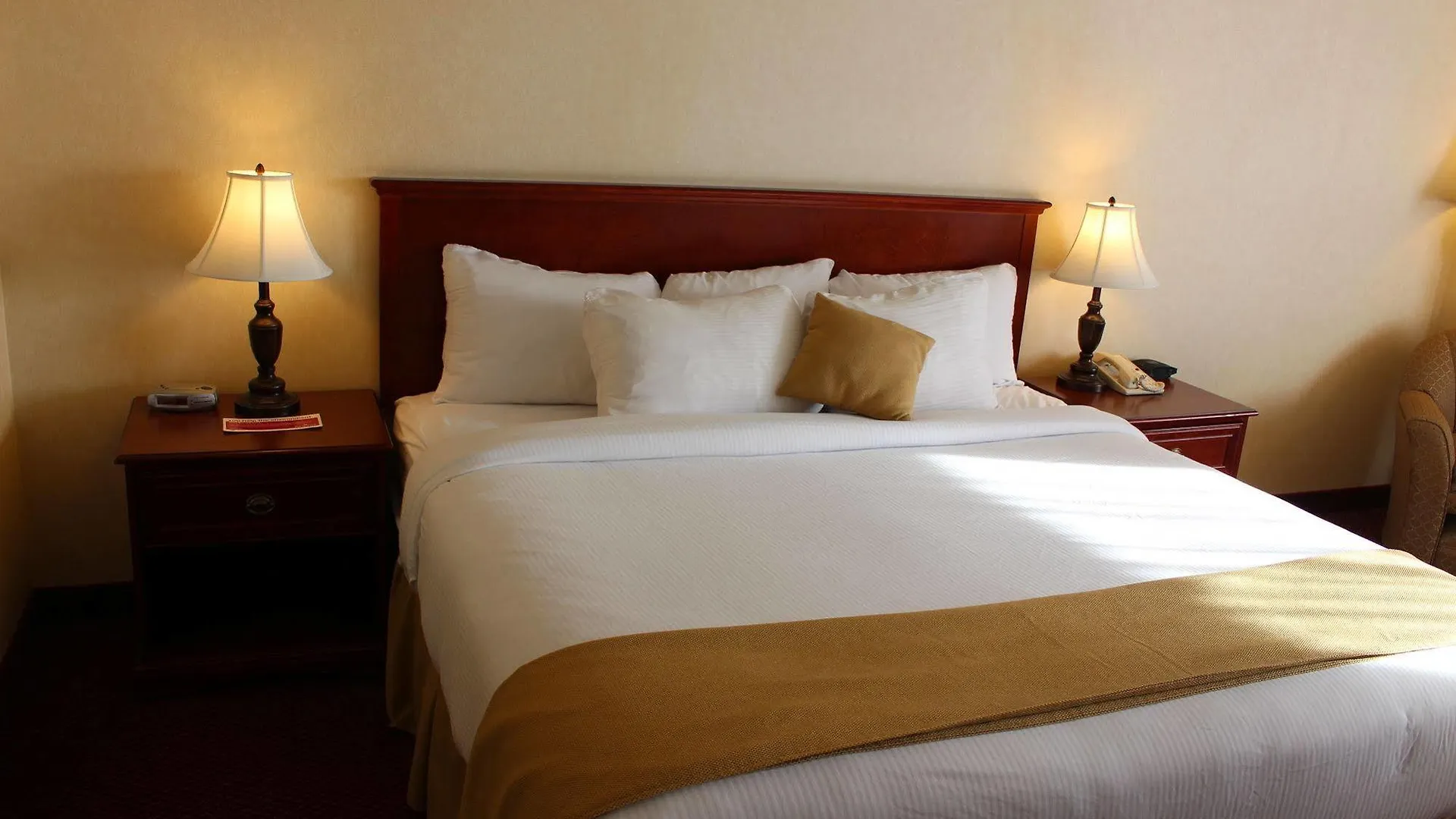 Quality Inn & Suites Edmonton International Airport Leduc Otel